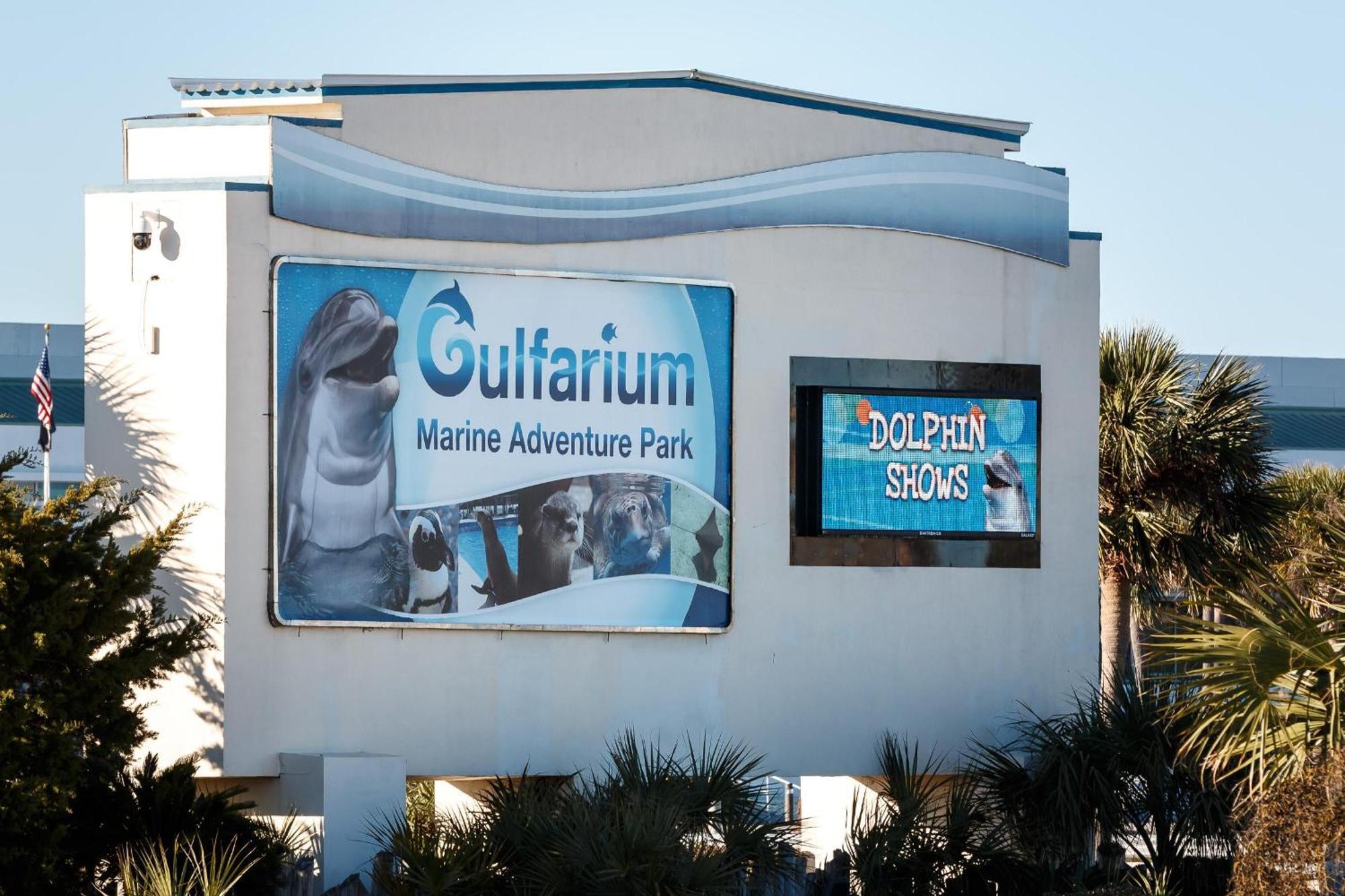 Willa Nautilus Unit 2310 Fort Walton Beach Zewnętrze zdjęcie